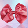 Pre tied bows