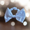 20251027_092958 Scrunchie bow