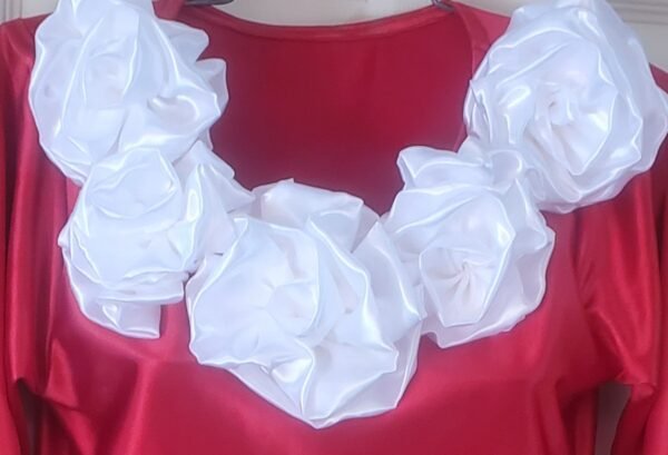 20251113_122657 Red dress