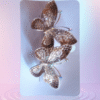 Butterfly 🦋 clip