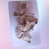 Butterfly 🦋 clip