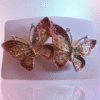 Butterfly 🦋 clip
